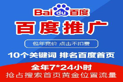 Sem优化公司案例：精准广告投放策略解析